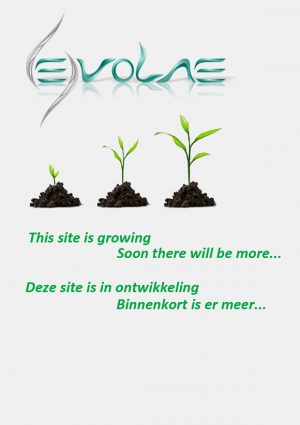 Evolae website under construction verticaal